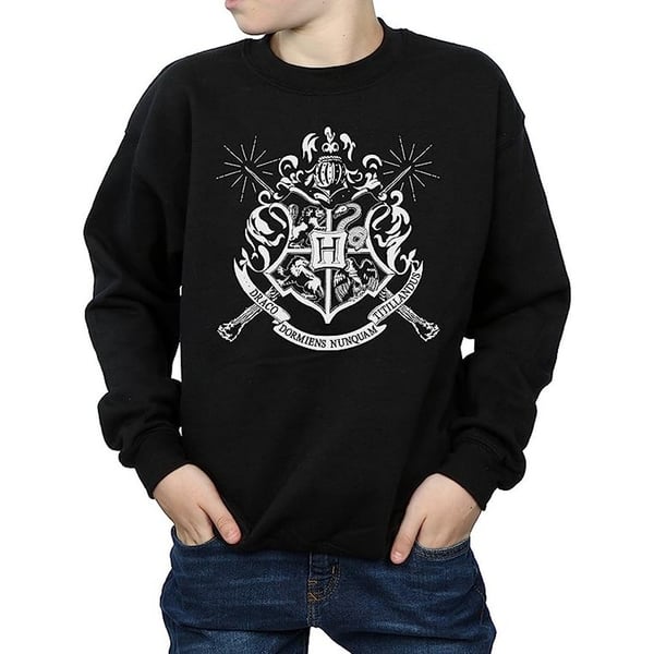 Harry Potter Boys Hogwarts Crest Wands Sweatshirt