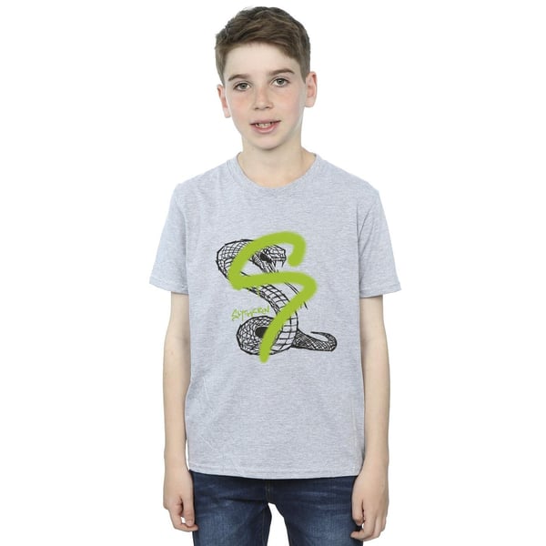 Harry Potter Boys Slytherin Pop Spray T-Shirt