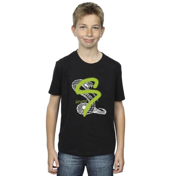 Harry Potter Boys Slytherin Pop Spray T-Shirt