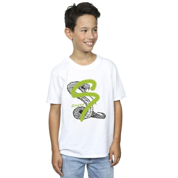 Harry Potter Boys Slytherin Pop Spray T-Shirt
