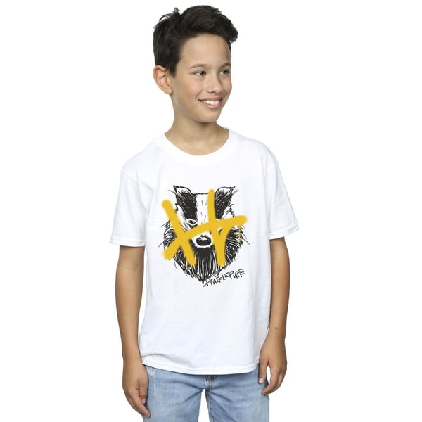 Harry Potter Poikien Hufflepuff Pop Spray T-paita