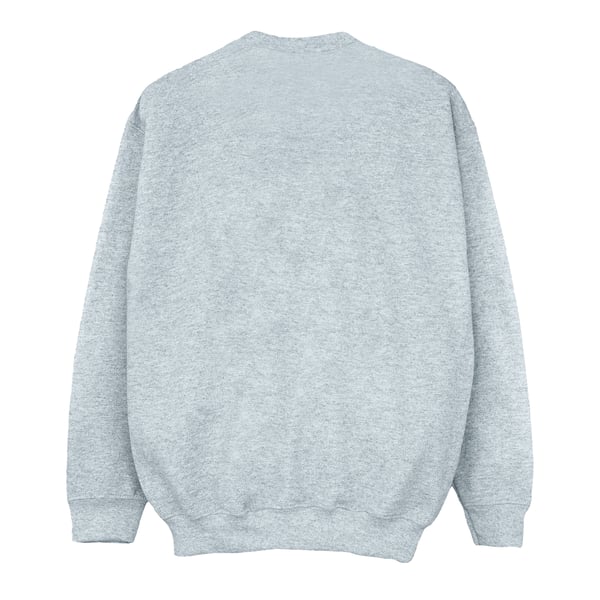 Disney Boys The Lion King Colours Sweatshirt