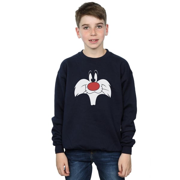 Looney Tunes Boys Sylvester Big Face Sweatshirt