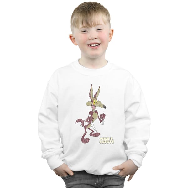 Looney Tunes Boys Wile E Coyote Distressed Sweatshirt