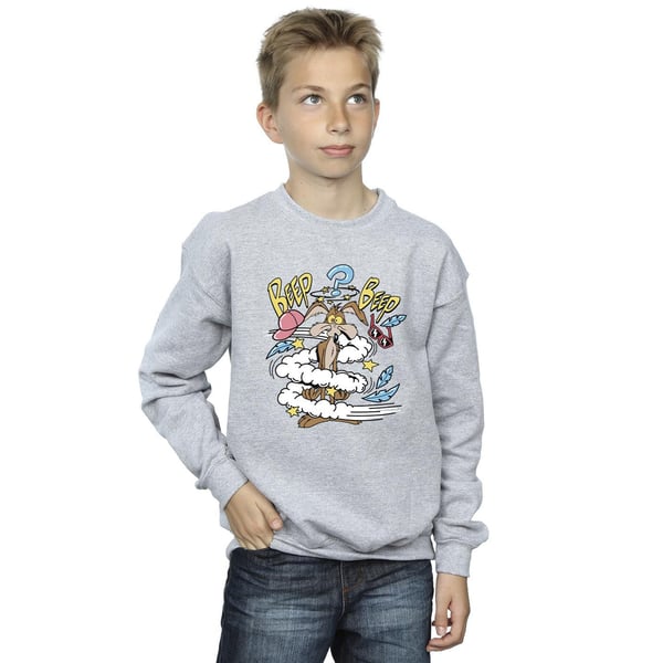Looney Tunes Boys Coyote Daze Sweatshirt