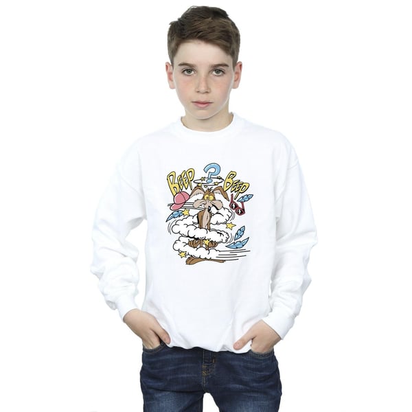 Looney Tunes Boys Coyote Daze Sweatshirt