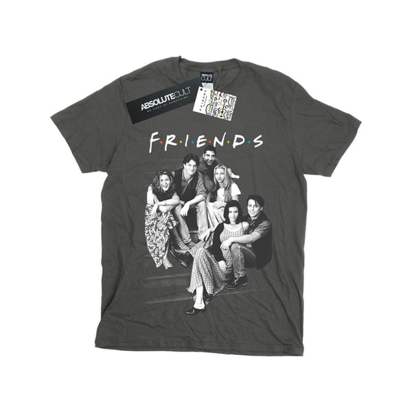 Friends Womens/Ladies Group Stairs Cotton Boyfriend T-Shirt