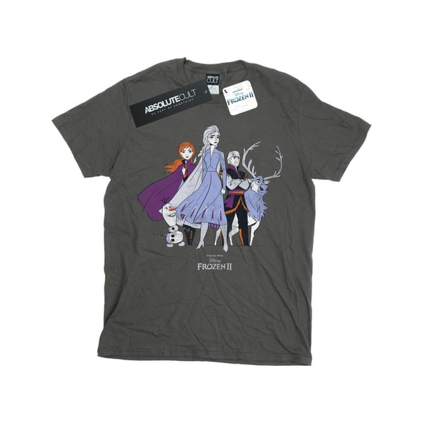 Disney Womens/Ladies Frozen 2 Distressed Group Cotton Boyfriend T-Shirt