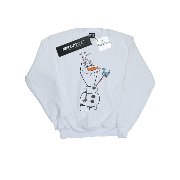Disney Mens Frozen 2 Olaf And Salamander Sweatshirt