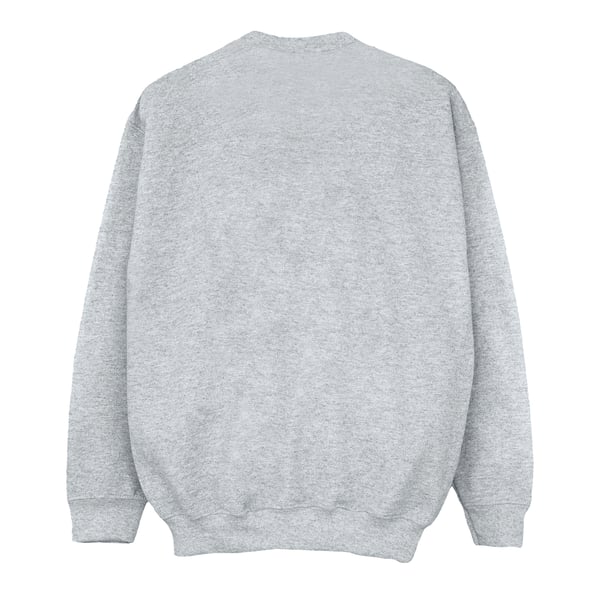 Marvel Womens/Ladies Spider-Man Amazing Sweatshirt