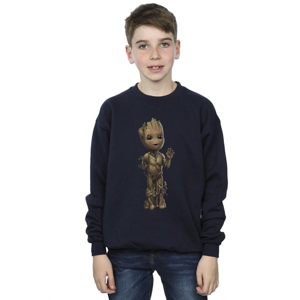 Marvel Pojkar I Am Groot Wave Pose Tröja