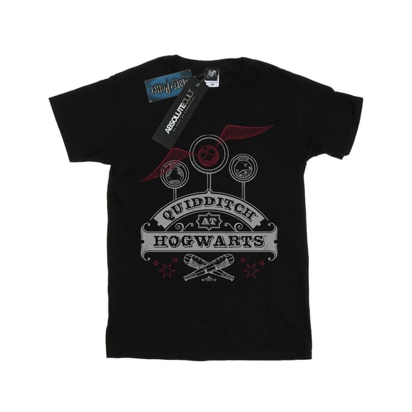 Harry Potter Dam/Dam Quidditch At Hogwarts T-shirt i bomull med boyfriend-passform