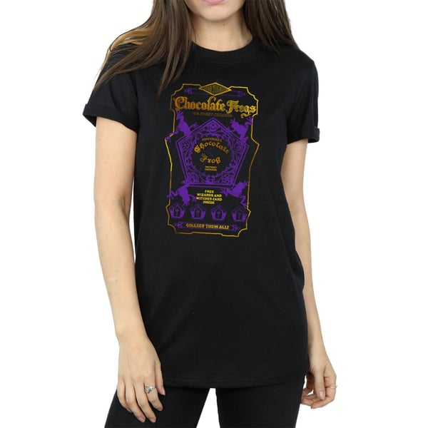 Harry Potter Womens/Ladies Chocolate Frogs Coloured Label Cotton Boyfriend T-Shirt