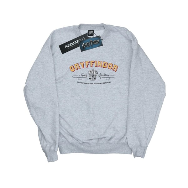 Harry Potter Mens Gryffindor Team Quidditch Sweatshirt