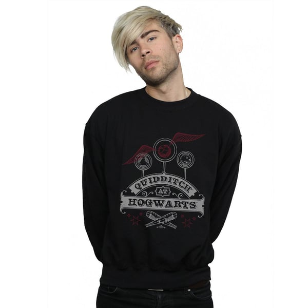 Harry Potter Mens Quidditch At Hogwarts Sweatshirt