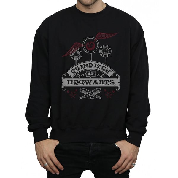 Harry Potter Mens Quidditch At Hogwarts Sweatshirt