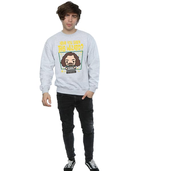 Harry Potter Mens Sirius Black Azkaban Junior Sweatshirt