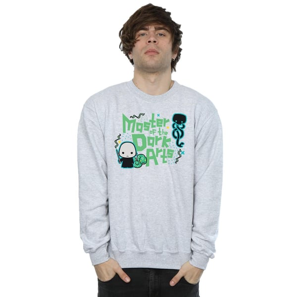 Harry Potter Mens Voldemort Dark Arts Junior Sweatshirt