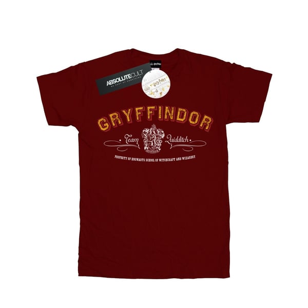 Harry Potter Naisten/Naisten Gryffindor Team Quidditch Puuvillainen Boyfriend T-paita