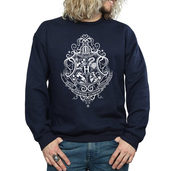 Harry Potter Mens Hogwarts Draco Dormiens Crest Sweatshirt