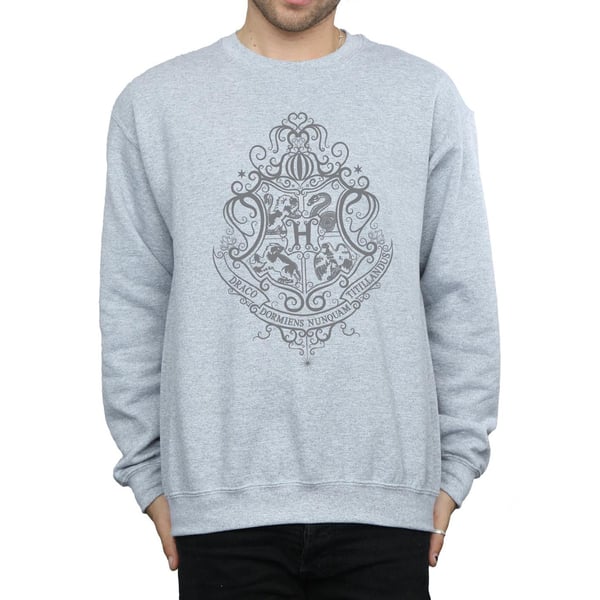 Harry Potter Mens Hogwarts Draco Dormiens Crest Sweatshirt