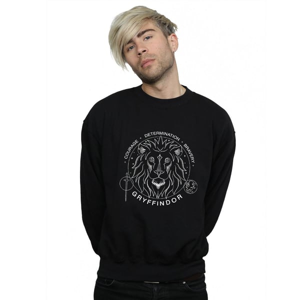 Harry Potter Miesten Gryffindor-sinettipusero