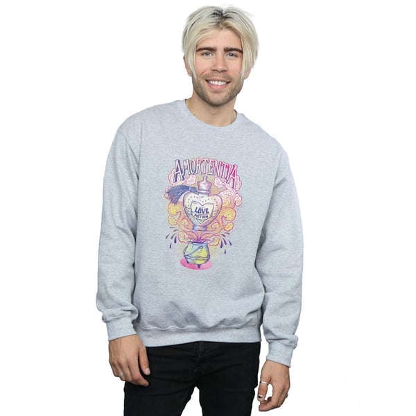 Harry Potter Mens Love Potion Sweatshirt