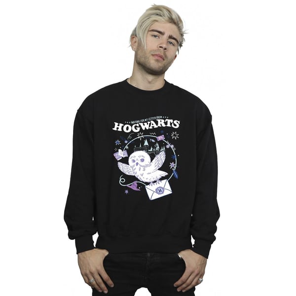 Harry Potter Mens Owl Letter From Hogwarts Sweatshirt