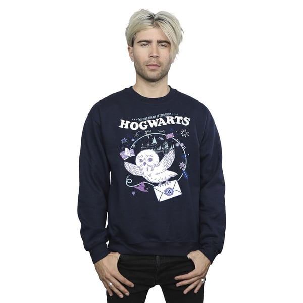 Harry Potter Mens Owl Letter From Hogwarts Sweatshirt