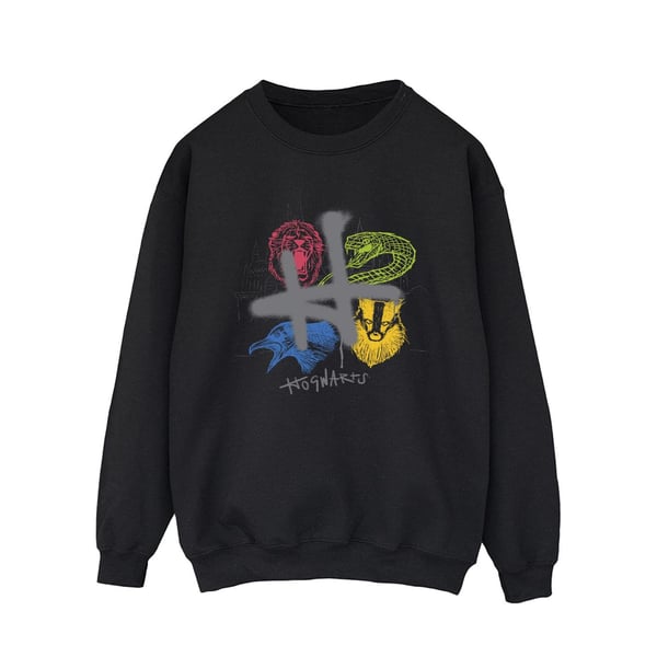 Harry Potter Mens Emblems H Spray Sweatshirt