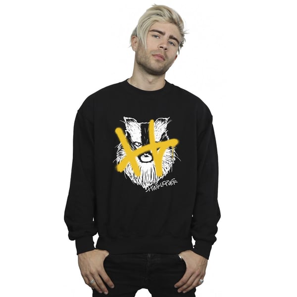 Harry Potter Mens Hufflepuff Pop Spray Sweatshirt