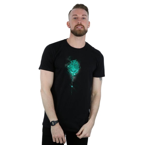 Harry Potter Mens Hogwarts Crest Mist T-Shirt