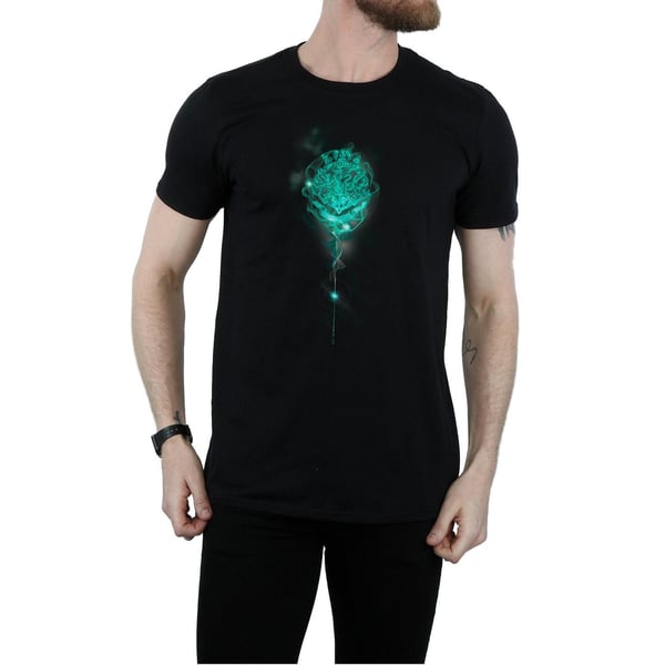 Harry Potter Mens Hogwarts Crest Mist T-Shirt