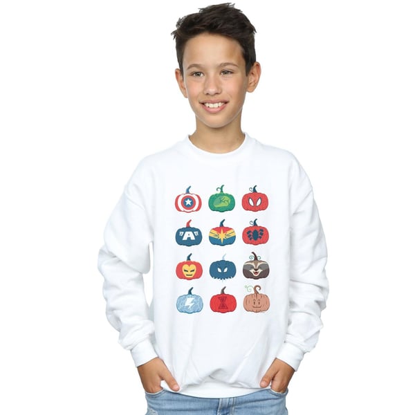 Marvel Boys Avengers Pumpkin Icons Sweatshirt