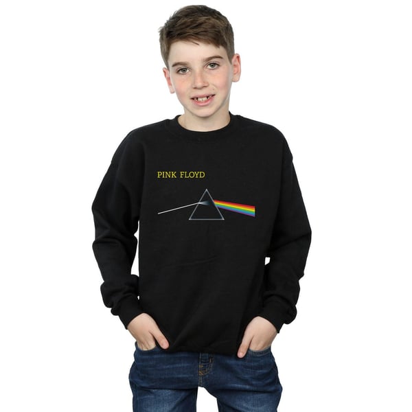 Pink Floyd Boys Chest Prism Sweatshirt