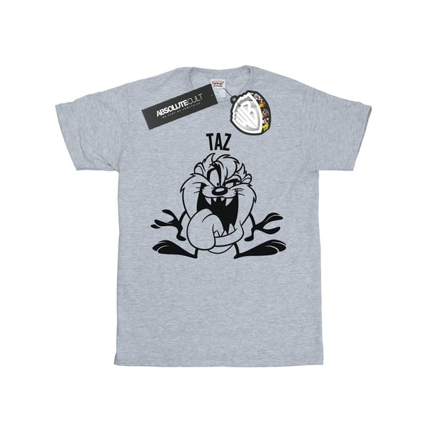 Looney Tunes Womens/Ladies Taz Large Head Cotton Boyfriend T-Shirt
