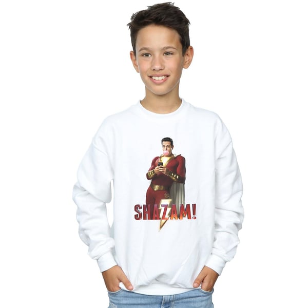 DC Comics Boys Shazam Bubble Gum Sweatshirt