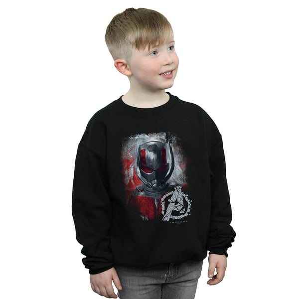 Marvel Boys Avengers Endgame Ant-Man Brushed Sweatshirt