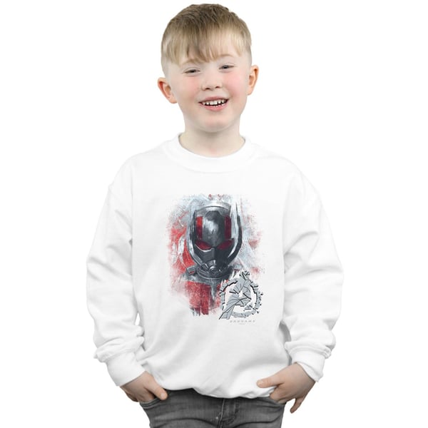 Marvel Boys Avengers Endgame Ant-Man Brushed Sweatshirt