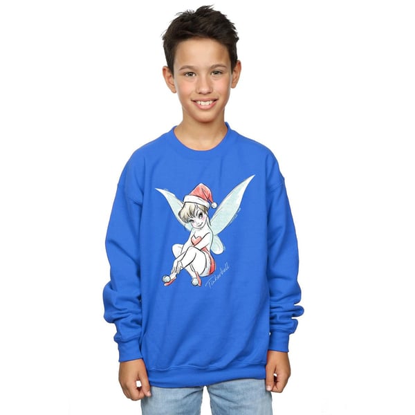 Disney Boys Tinkerbell Christmas Fairy Sweatshirt