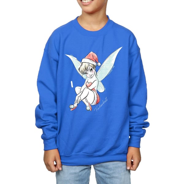 Disney Boys Tinkerbell Christmas Fairy Sweatshirt
