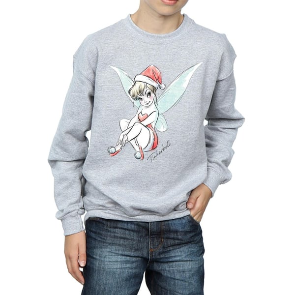 Disney Boys Tinkerbell Christmas Fairy Sweatshirt