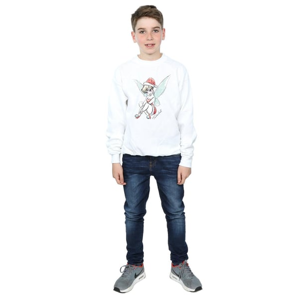 Disney Boys Tinkerbell Christmas Fairy Sweatshirt