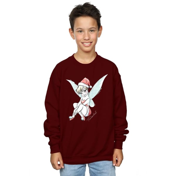 Disney Boys Tinkerbell Christmas Fairy Sweatshirt