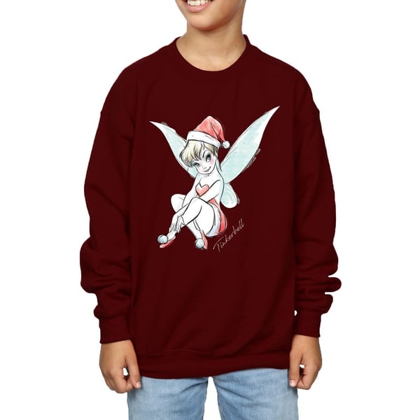 Disney Boys Tinkerbell Christmas Fairy Sweatshirt