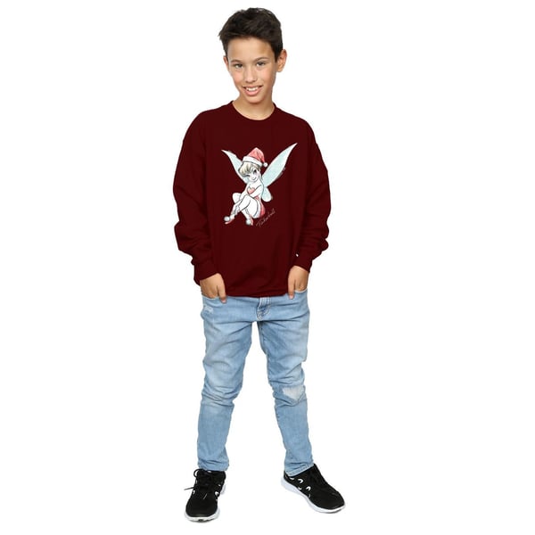 Disney Boys Tinkerbell Christmas Fairy Sweatshirt