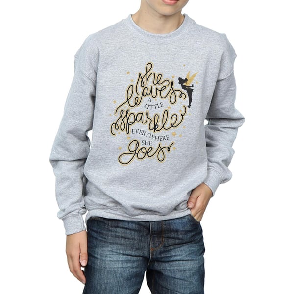 Disney Boys Tinkerbell Stars Sweatshirt