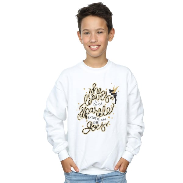 Disney Boys Tinkerbell Stars Sweatshirt