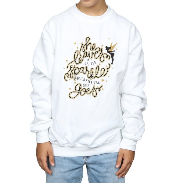Disney Boys Tinkerbell Stars Sweatshirt