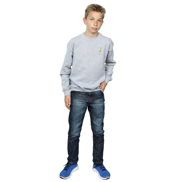 Disney Boys Tinkerbell Chest Sweatshirt
